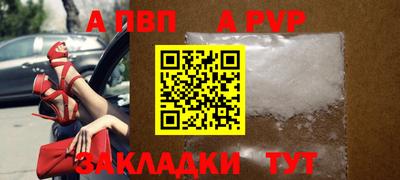 дмт Кингисепп