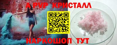 дмт Кингисепп