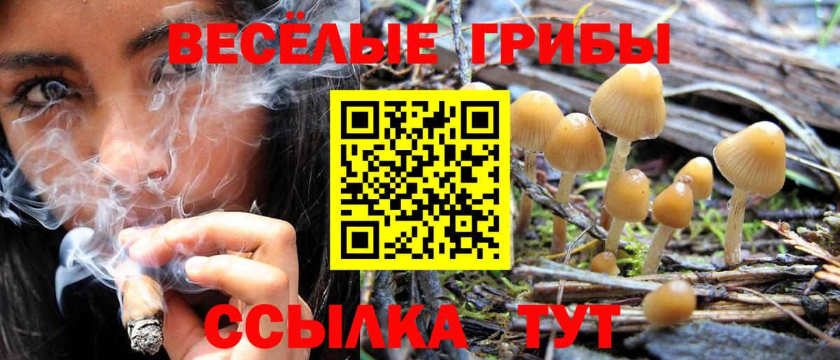 Псилоцибиновые грибы прущие грибы Соликамск